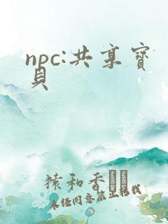 npc:共享宝贝