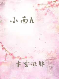 小南h