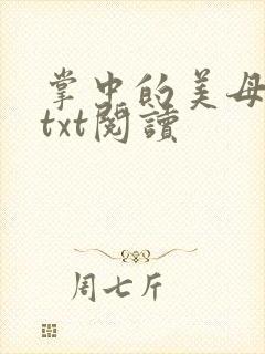 掌中的美母版主txt阅读