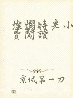 灿烂时光小说免费阅读