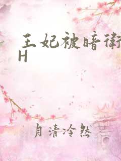 王妃被暗卫肉高H