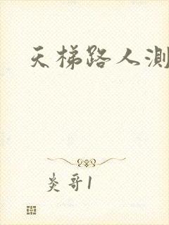 天梯路人测试器