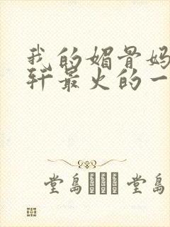 我的媚骨妈妈林轩最火的一句