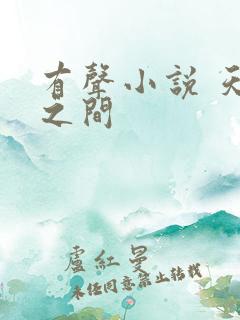 有声小说 天地之间