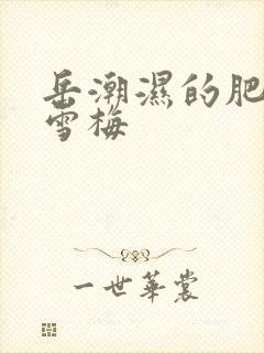 岳潮湿的肥厚李雪梅