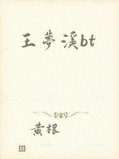 王梦溪bt