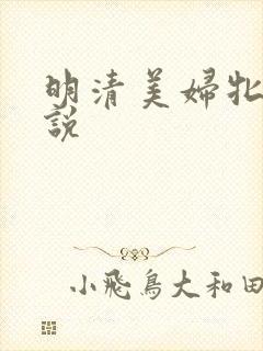 明清美妇牝户小说