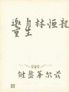 邀月林恒龙凤胎重生