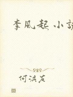 李风起 小说