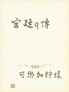 宫廷q传