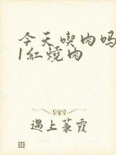 今天吃肉吗1V1红烧肉