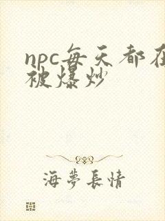 npc每天都在被爆炒