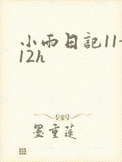 小雨日记11-12h