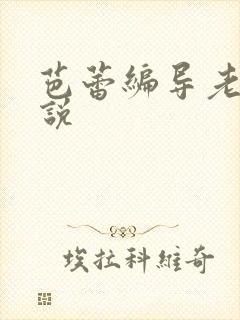 芭蕾编导老师小说