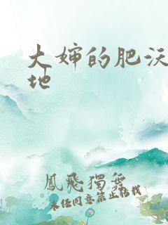 大婶的肥沃的土地