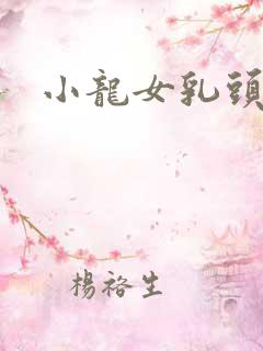 小龙女乳头