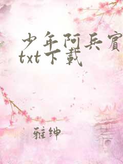 少年阿兵宾小说txt下载