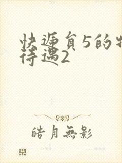 快递员5的特殊待遇2