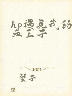 hp遇见我的混血王子