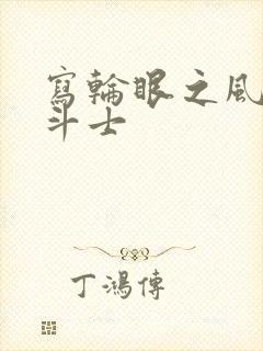 写轮眼之风流圣斗士