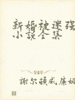 新婚被迷强系列小说全集