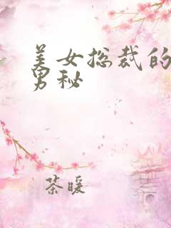 美女总裁的贴身男秘