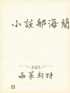 小说那海兰珠