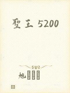 圣王 5200