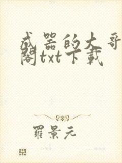 成器的大哥笔趣阁txt下载