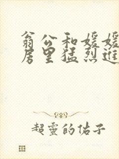 翁公和媛媛在厨房里猛烈进出