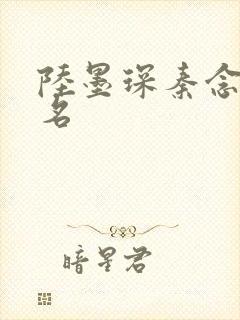 陆墨琛秦念小说名