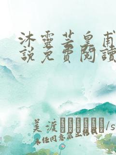 沐灵芸皇甫霆小说免费阅读