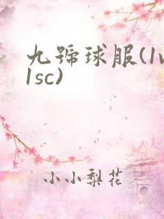 九号球服(1v1sc)