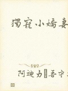 独宠小娇妻