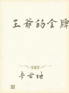 王爷的金牌暗卫