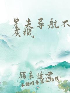 农夫导航不要打灰机