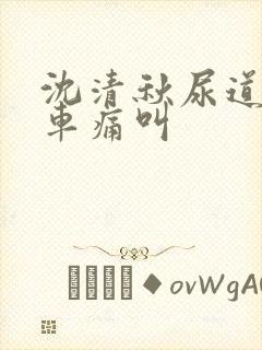 沈清秋尿道扩张车痛叫