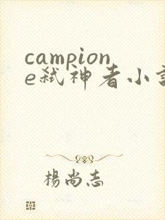 campione弑神者小说
