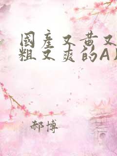 国产又黄又猛又粗又爽的A片小说