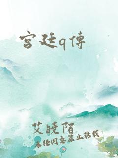 宫廷q传
