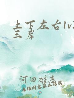 上下左右1v2三岸