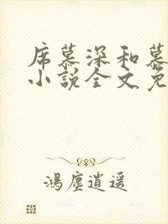 席慕深和慕清泠小说全文免费阅读