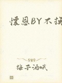 怀恩BY不换