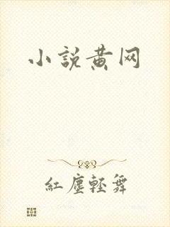 小说黄网