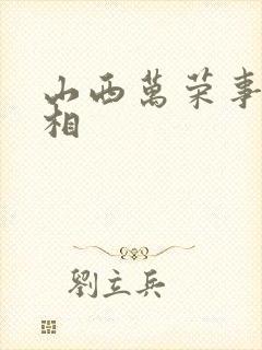 山西万荣事件真相