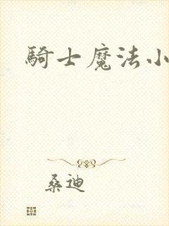 骑士魔法小说