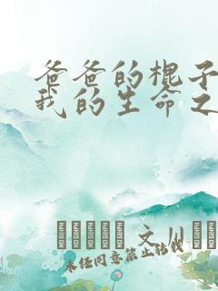 爸爸的棍子顶着我的生命之门