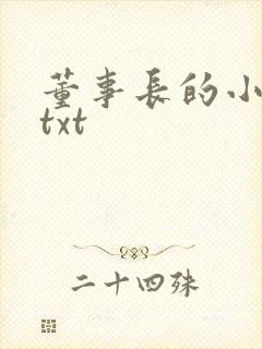 董事长的小王爷txt