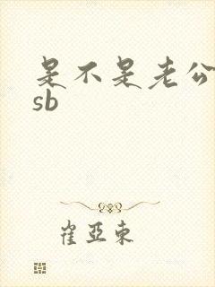 是不是老公的小sb