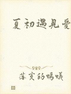 夏初遇见爱